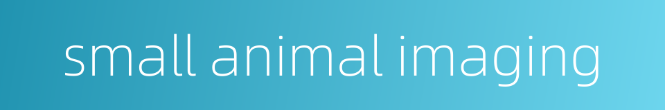 small animal imaging的同义词