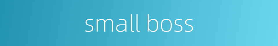 small boss的同义词