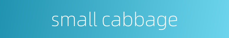 small cabbage的同义词