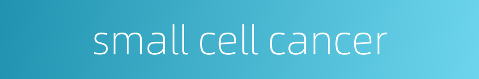 small cell cancer的同义词