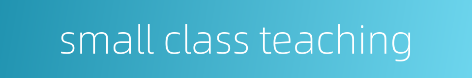small class teaching的同义词