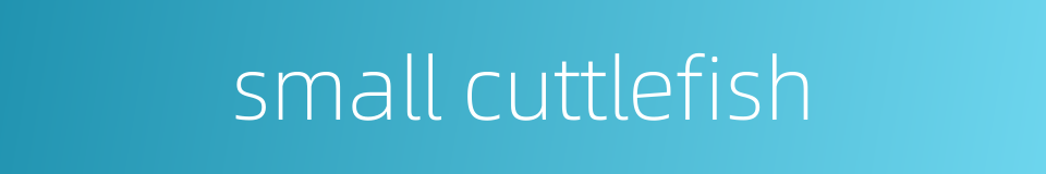 small cuttlefish的同义词