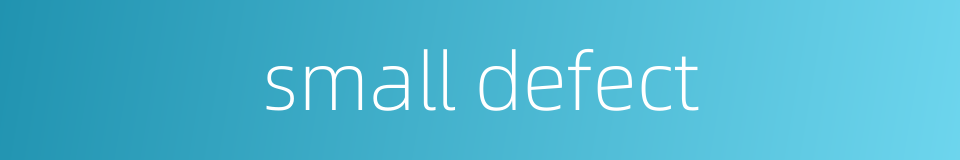 small defect的同义词