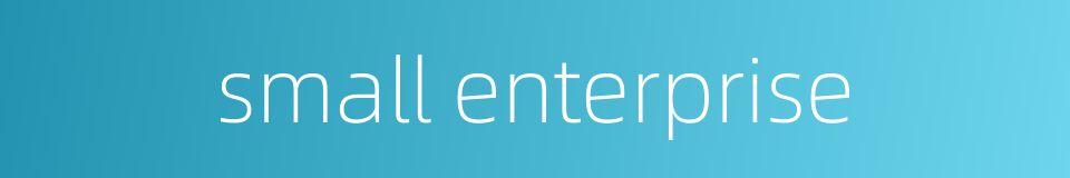 small enterprise的同义词