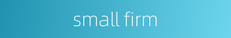 small firm的同义词