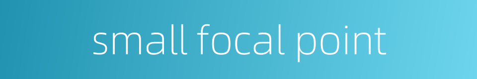 small focal point的同义词
