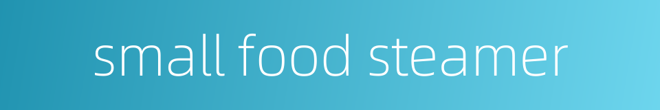 small food steamer的同义词