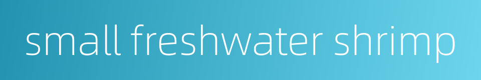 small freshwater shrimp的同义词