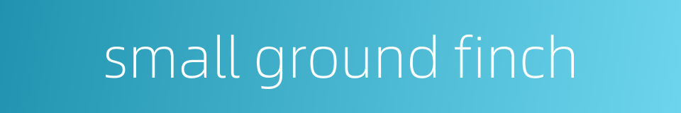 small ground finch的同义词