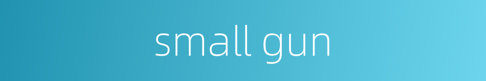 small gun的同义词
