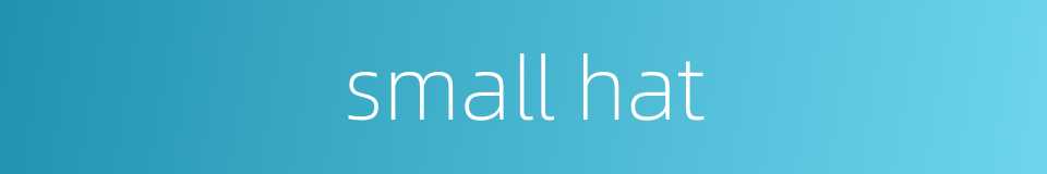 small hat的同义词