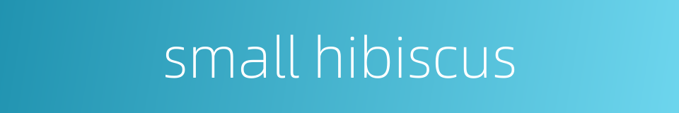 small hibiscus的同义词