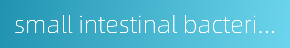 small intestinal bacterial overgrowth的同义词