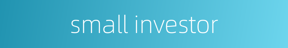 small investor的同义词