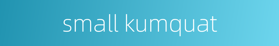 small kumquat的同义词