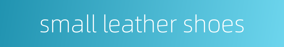 small leather shoes的同义词