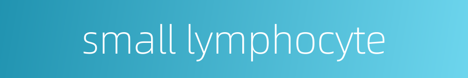 small lymphocyte的同义词