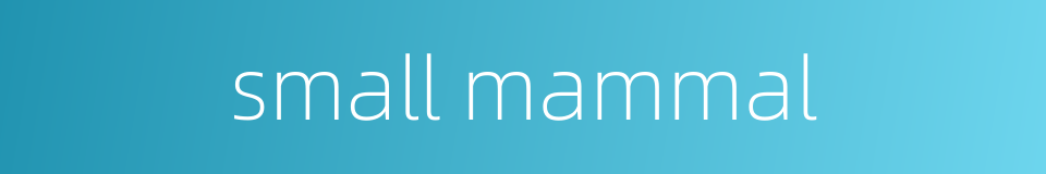 small mammal的同义词