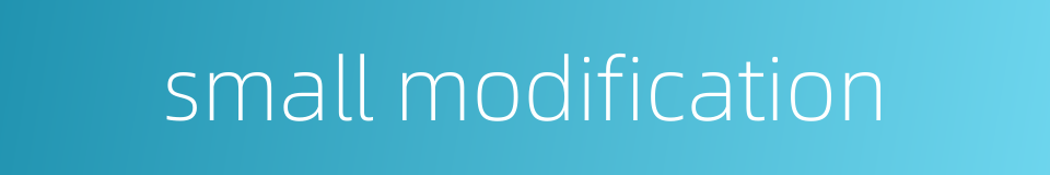 small modification的同义词