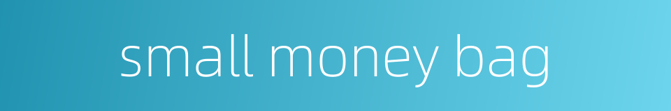 small money bag的同义词