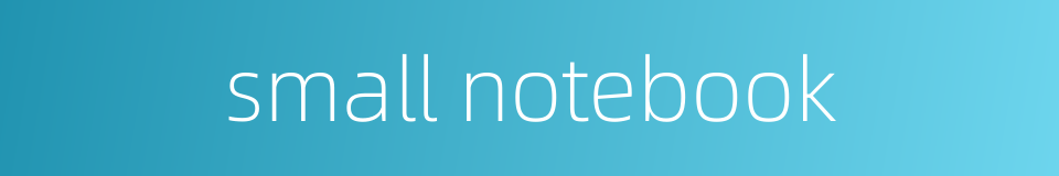 small notebook的同义词