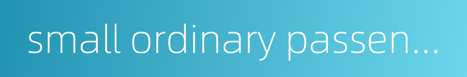 small ordinary passenger car的同义词