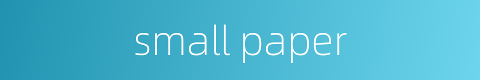small paper的同义词
