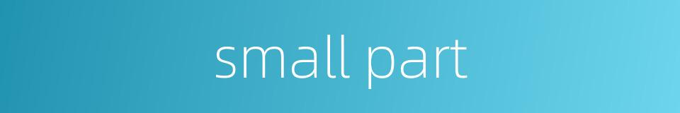 small part的同义词