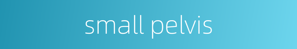small pelvis的同义词