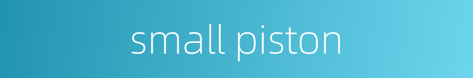 small piston的同义词