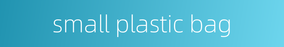 small plastic bag的同义词