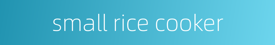 small rice cooker的同义词