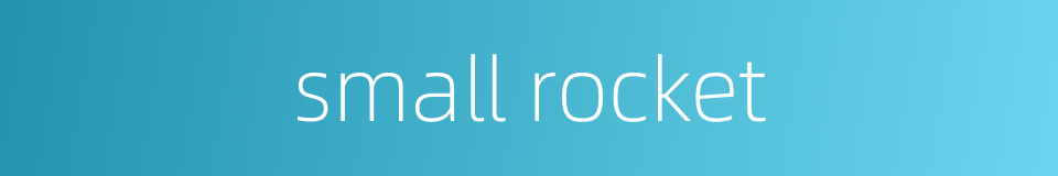 small rocket的同义词