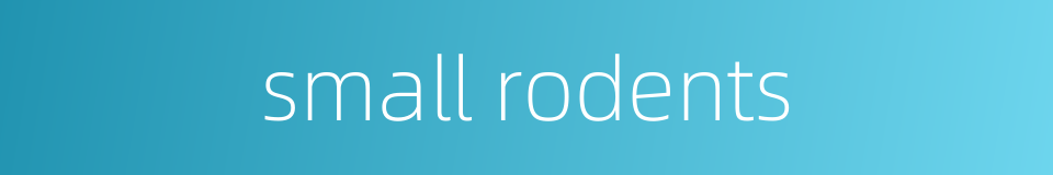 small rodents的同义词