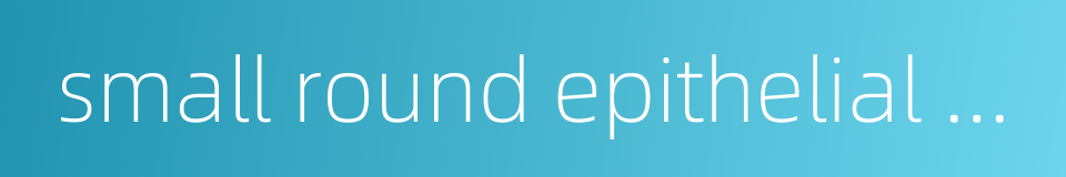 small round epithelial cell的同义词