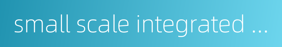 small scale integrated circuit的同义词