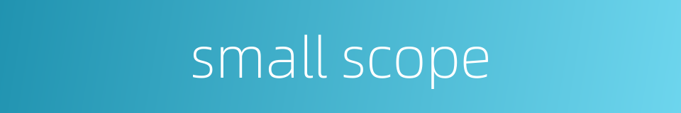 small scope的同义词