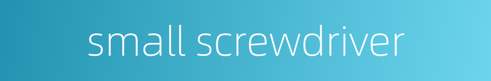 small screwdriver的同义词
