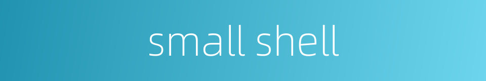 small shell的同义词