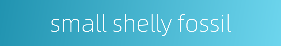 small shelly fossil的同义词