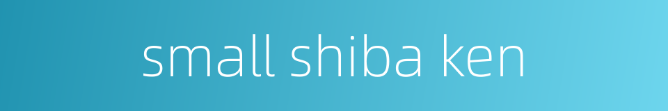 small shiba ken的同义词