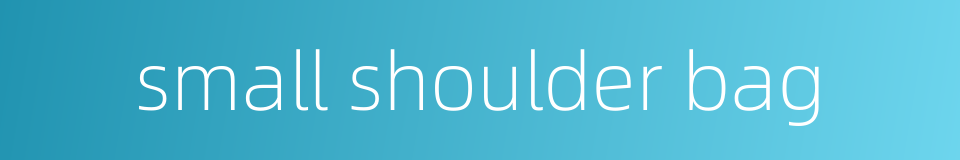 small shoulder bag的同义词