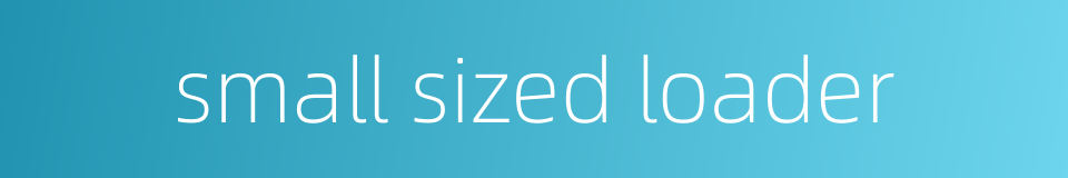 small sized loader的同义词