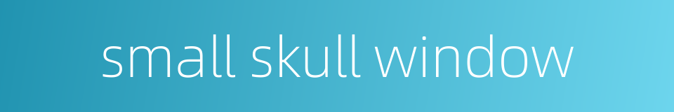 small skull window的同义词