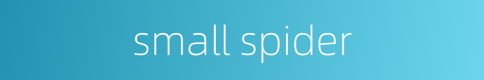 small spider的同义词