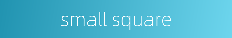 small square的同义词