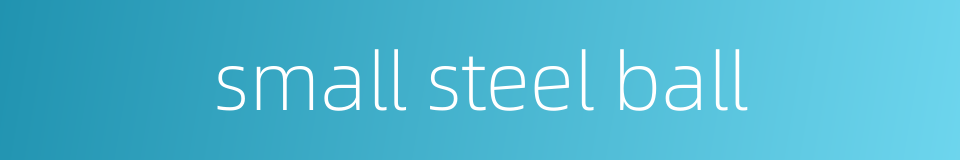 small steel ball的同义词