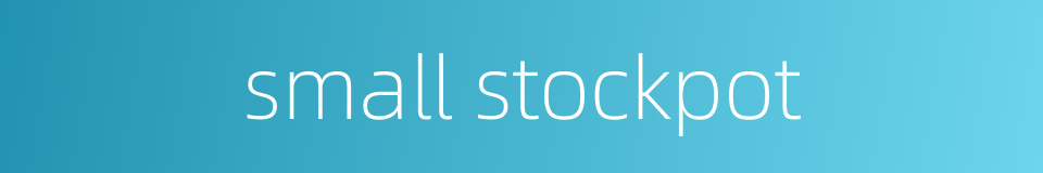 small stockpot的同义词