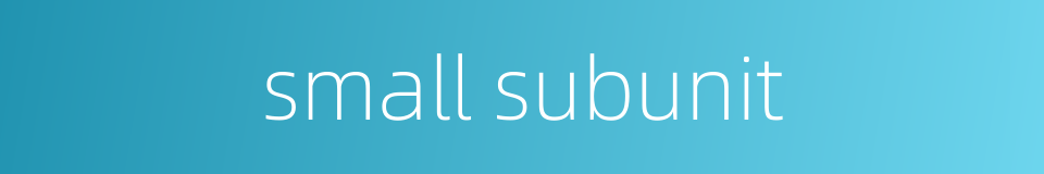 small subunit的同义词
