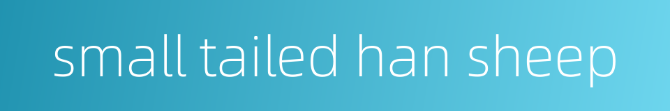 small tailed han sheep的同义词